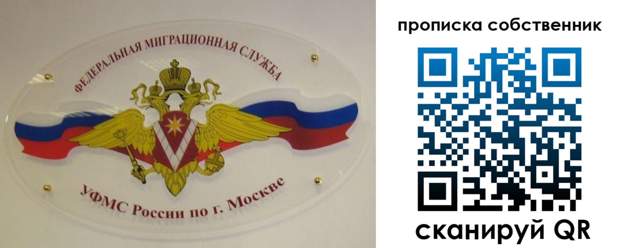 прописка 2025 в Ногинске